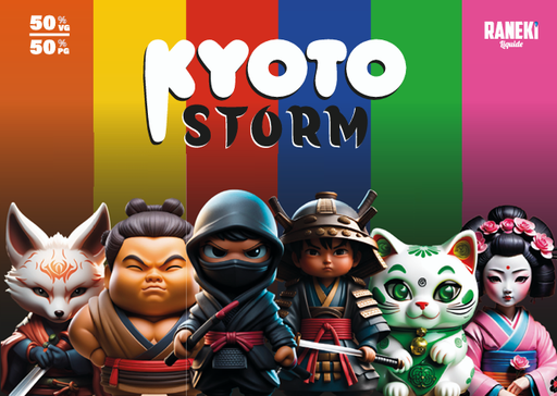 Flyer Kyoto Storm